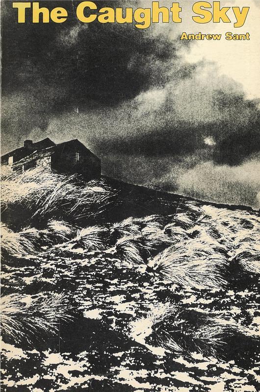 The caught sky / Andrew Sant cover