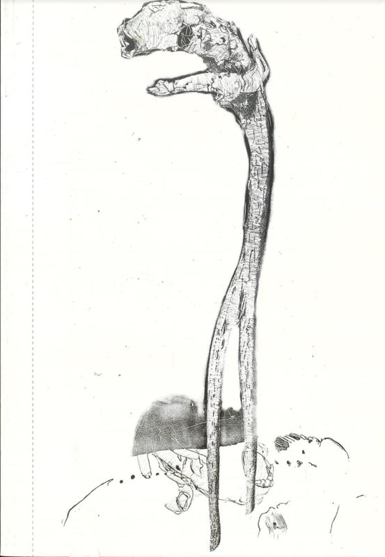 The Australian wilderness : language, calligraphy and semantics / G. W. Bot ; essay by Anne Gray cover