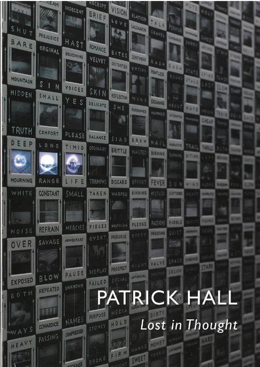 Patrick Hall : lost in thought cover