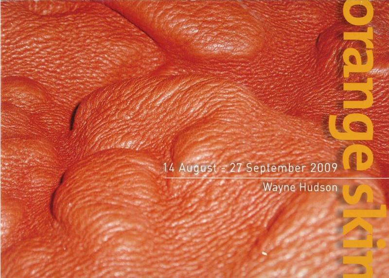 Orange skin : 14 August - 27 September 2009/ Wayne Hudson cover