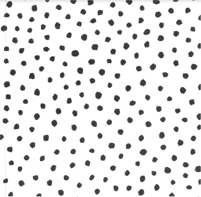 Richard's disasters : a true story / Richard Lewer cover