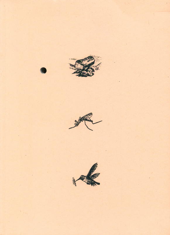 Rock, mosquito and hummingbird : a prehistory of Governors Island / David Brooks cover