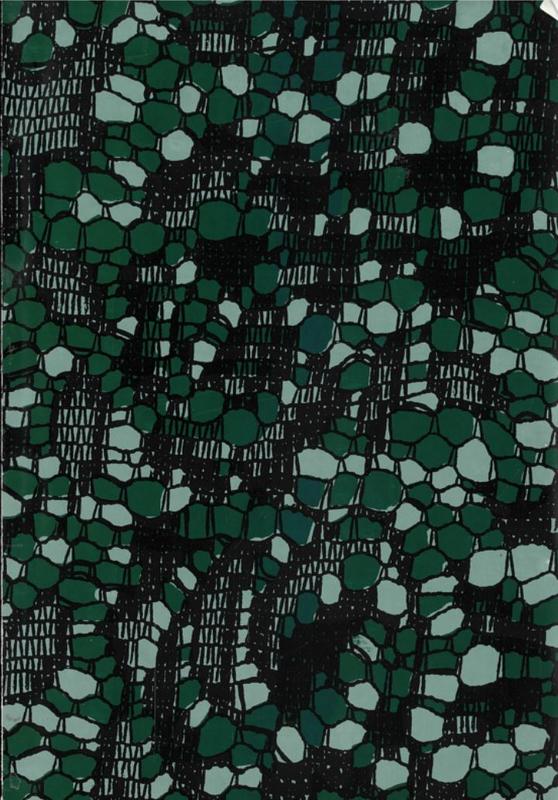 Imagine nature / Raymond Arnold [and 4 others] cover