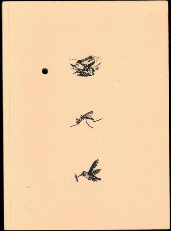 On the entity of objects / Richard Caldicott, Christopher Muller cover