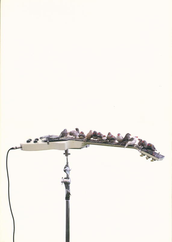 Etats seconds cover