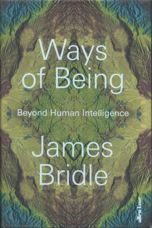 Ways of being : beyond human intelligence / James Bridle cover