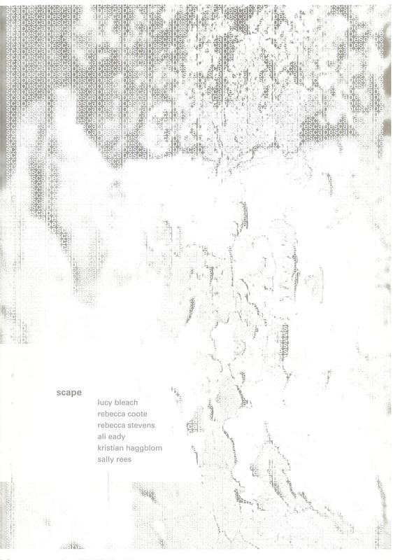 Scape / curator, Celia Lendis cover