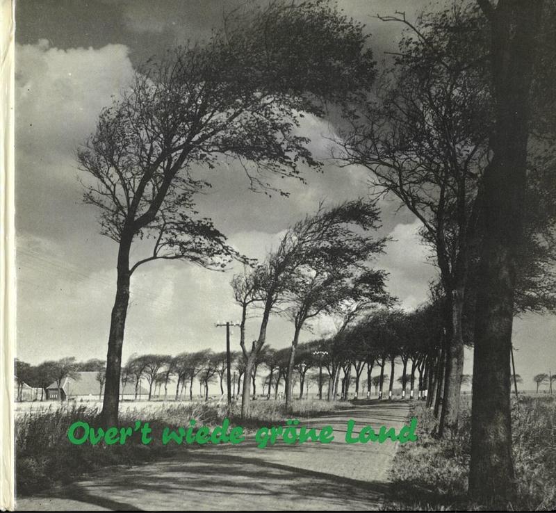Over't wiede gröne land / [Elisabeth] Pollmann, [Frieda] Pamperin cover