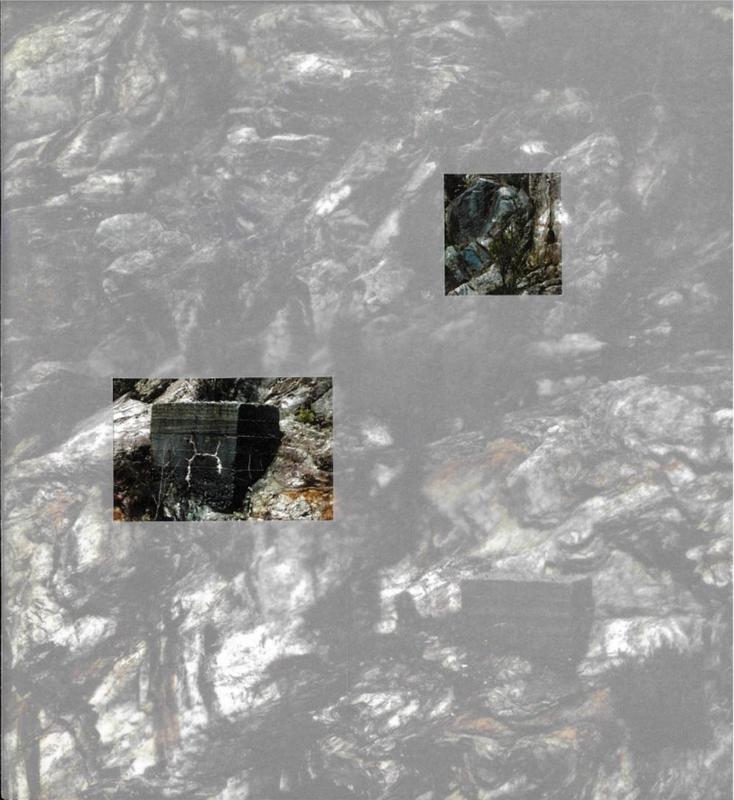 Solastalgia / Ilona Schneider cover