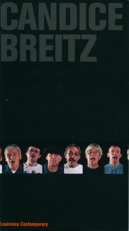 Candice Breitz cover