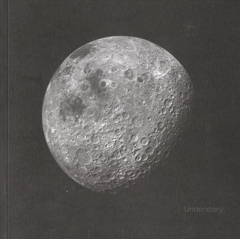 Understory / curated by Troy Ruffels cover