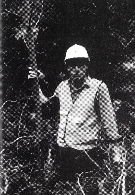 Radiata / Felix Wilson, Jacob Raupach, William Horan cover