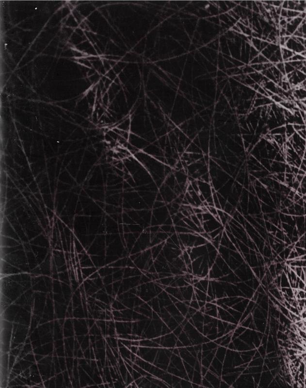 Secret places / photography, Kate Hamilton ; art works, Sieglinde Karl ; music, Ron Nagorcka ; performance text, Hazel Smith cover