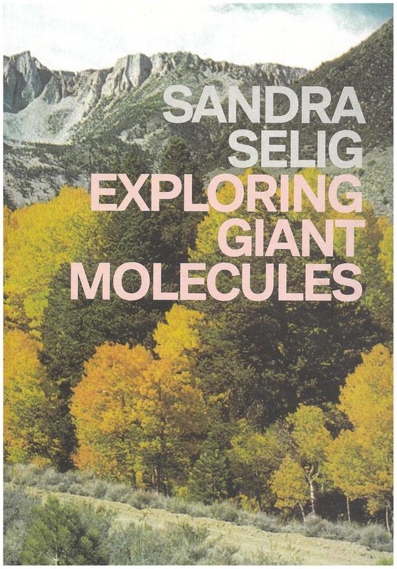 Sandra Selig : exploring giant molecules cover