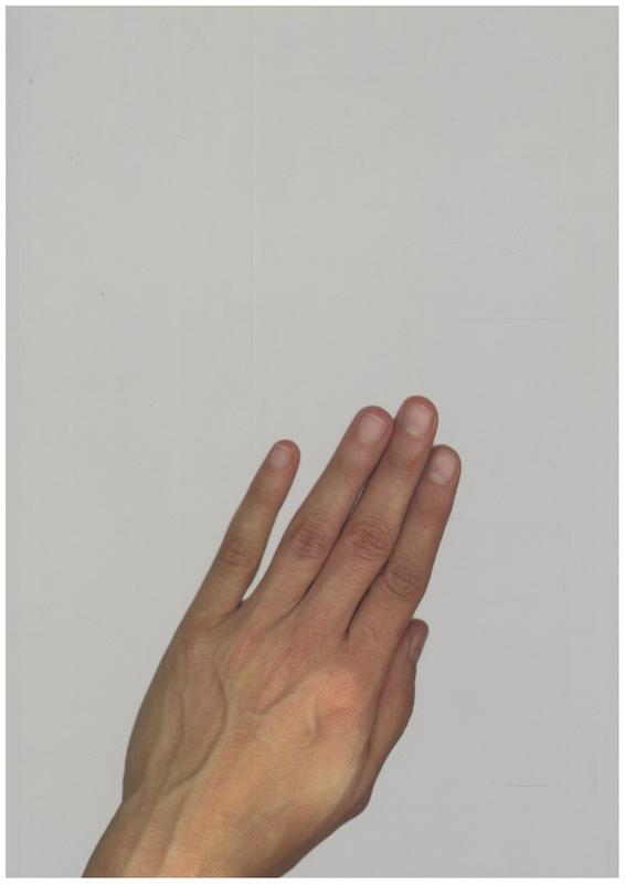 Finding comfort in an uncomfortable imagination : a catalogue of ideas / by Ana Prvački ; texts by Carolyn Christov-Bakargiev [and 3 others] cover