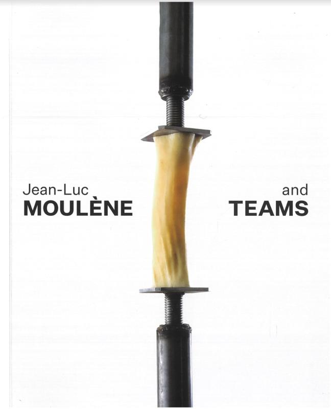 Jean-Luc Moulène and Teams / [foreword by Trudi Brinckman ; contributions by Jane Clark and 3 others] cover