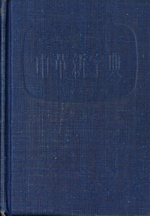 = Mandarin - Cantonese New Chinese Dictionary cover