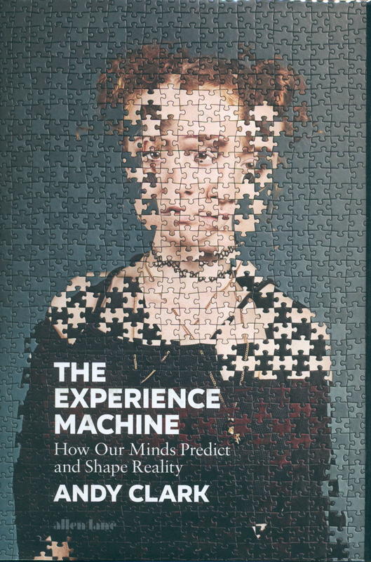 The experience machine : how our minds predict and shape reality / Andy Clark cover