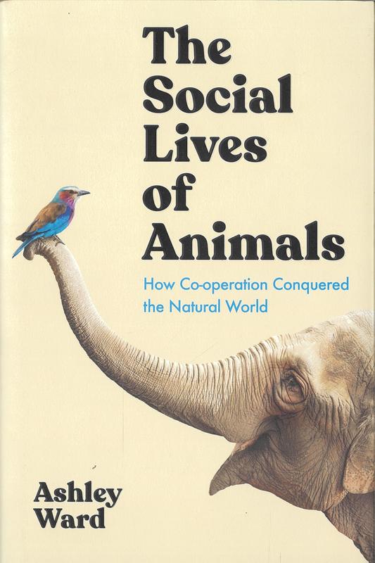 The social lives of animals : how co-operation conquered the natural world / Ashley Ward cover