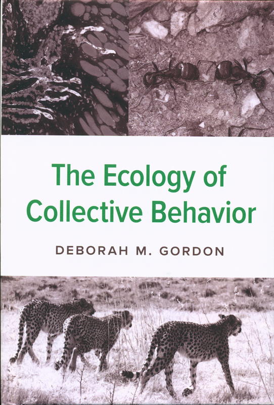 The ecology of collective behavior / Deborah M. Gordon cover