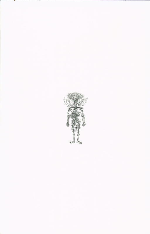 Limen Ecologies of Transmission cover