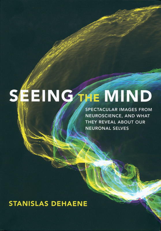 Seeing the mind : spectacular images from neuroscience, and what they reveal about our neuronal selves / Stanislas Dehaene cover