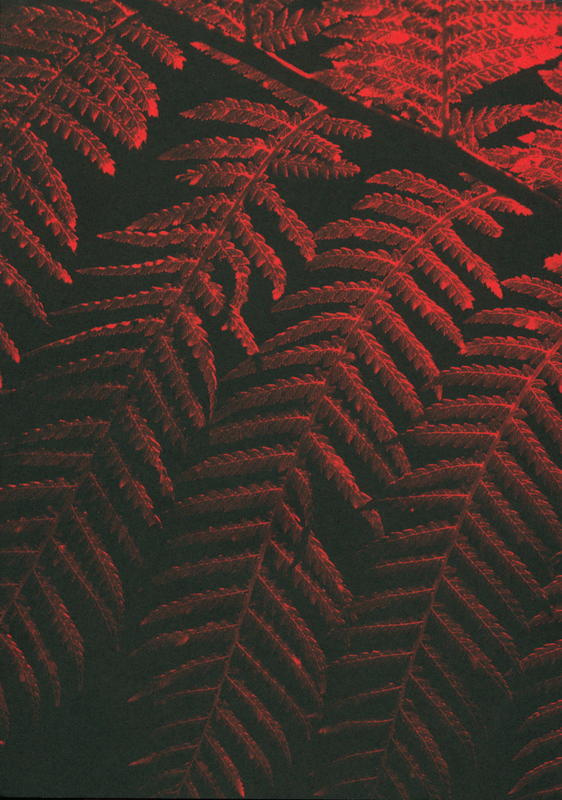 Julian Charrière : controlled burn / edited by Dehlia Hanah & Nadine Samman cover