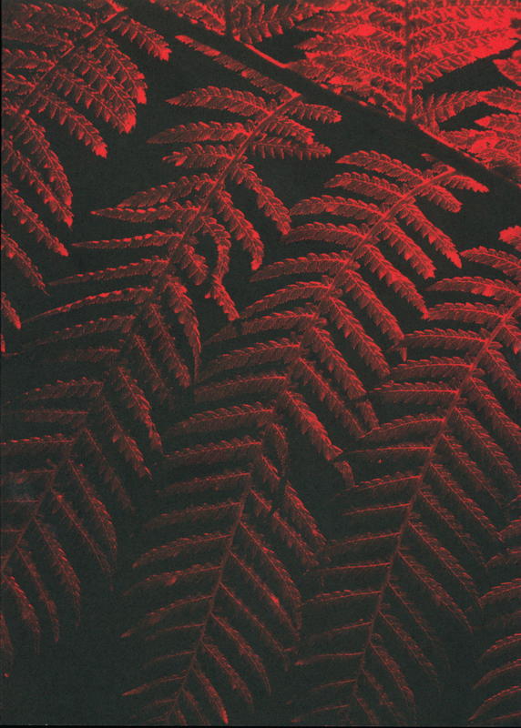 Julian Charrière : controlled burn / edited by Dehlia Hanah & Nadine Samman cover