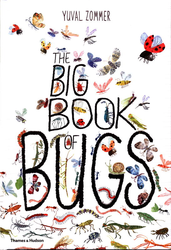 The big book of bugs / words and pictures Yuval Zommer ; bug expert Barbara Taylor cover