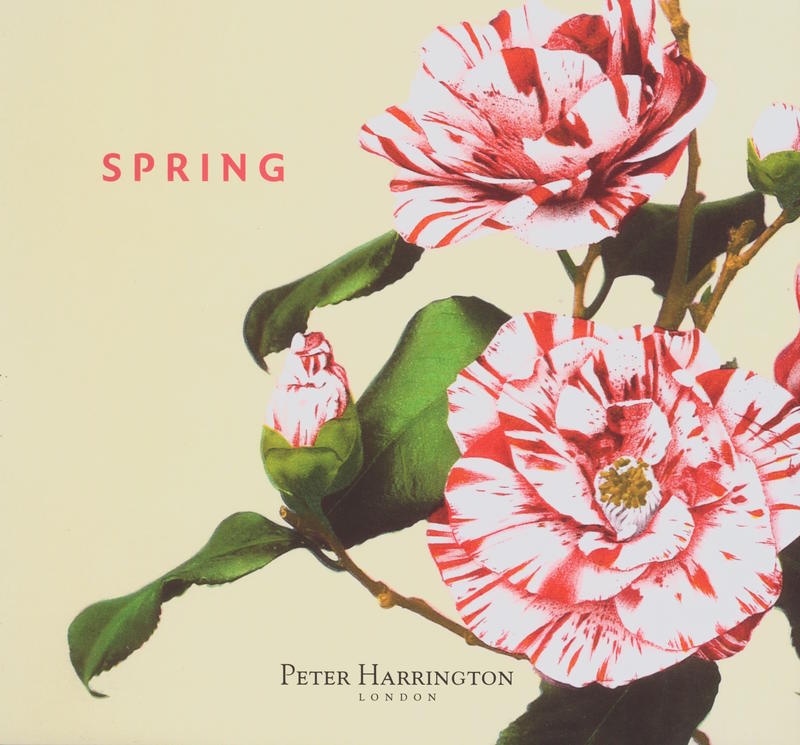 Spring 2025 : catalogue 213 / Peter Harrington cover