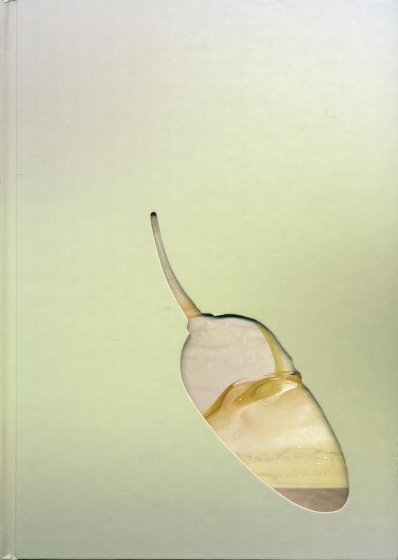 Yhonnie Scarce : the light of day cover