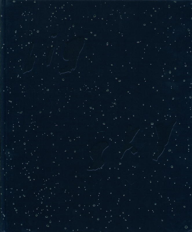 Adam Ferguson : big sky cover