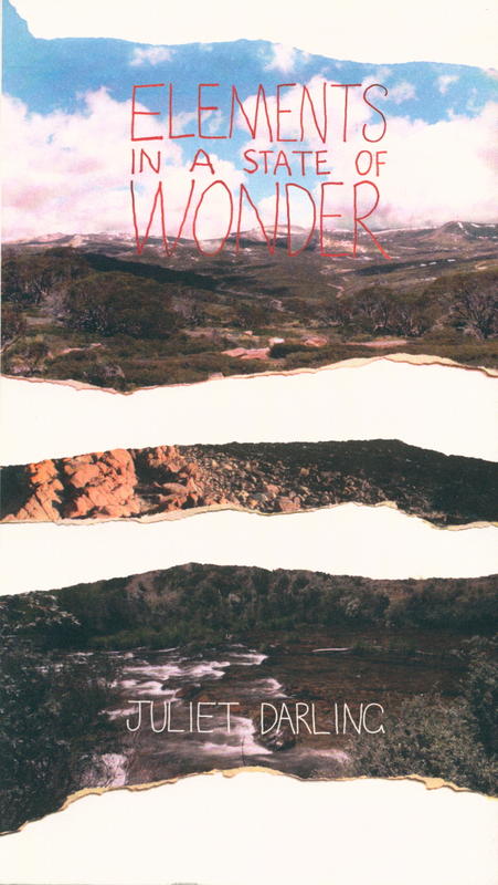 Elements in a state of wonder cover