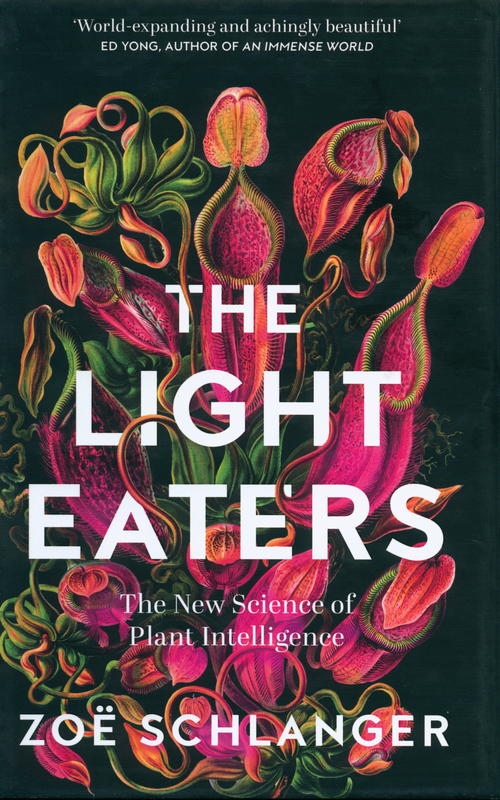 The light eaters / Zoë Schlanger cover
