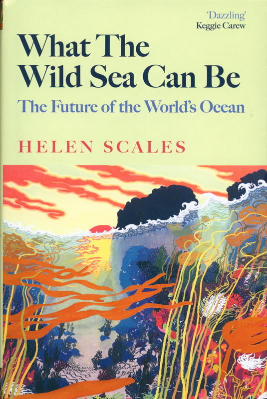 What the wild sea can be : the future of the world's ocean / Helen Scales cover