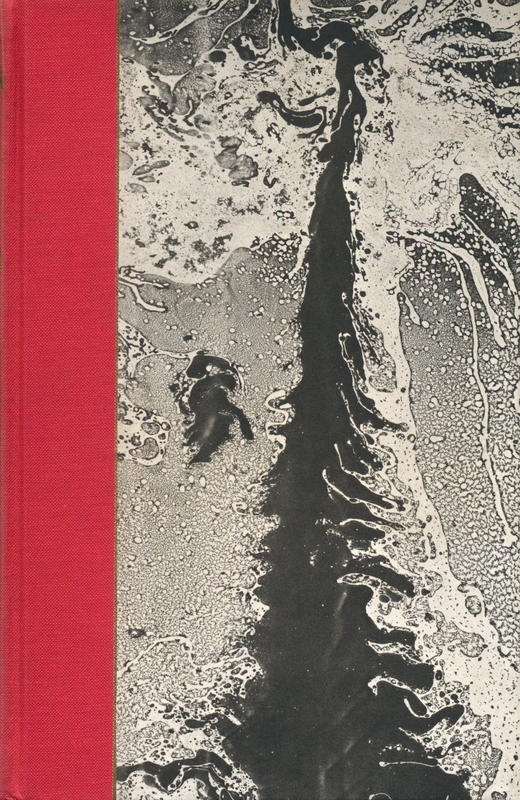 A shameful revenge : and other stories / Maria de Zayas y Sotomayor ; translated with an introduction by John Sturrbeck ; illustrated by Eric Fraser cover