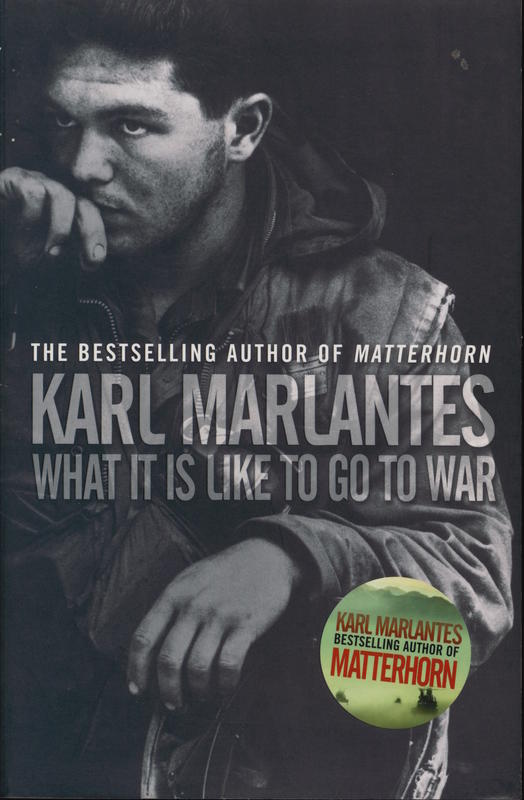 What it is like to go to war cover