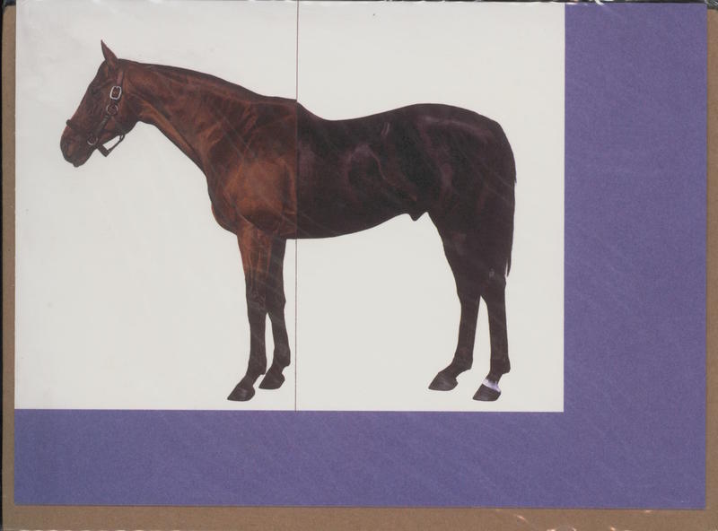 Mark Wallinger, Half-Brother cover