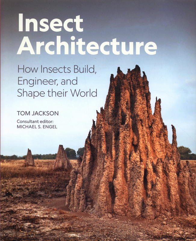 Insect architecture : how insects build, engineer, and shape their world / Tom Jackson cover