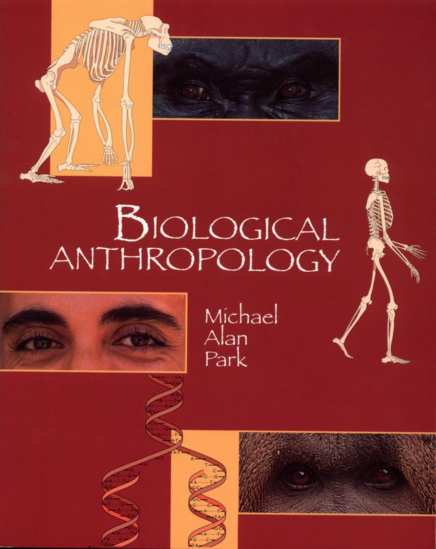 Biological anthropology / Michael Alan Park cover