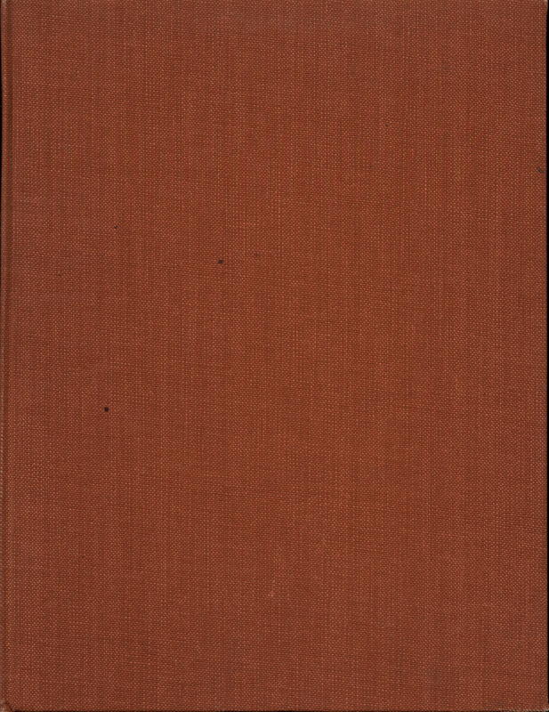 Antipodean vision : Australian painting, colonial, impressionist, contemporary / commentary by Clive Turnbull, Elizabeth Young and Daniel Thomas cover