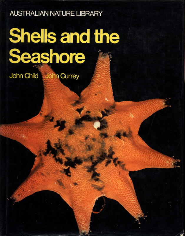 Shells and the seashore / John Child, John Currey cover