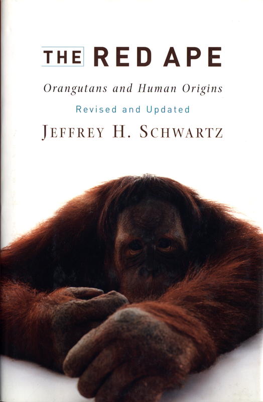The red ape : orangutans and human origins / Jeffrey H. Schwartz cover