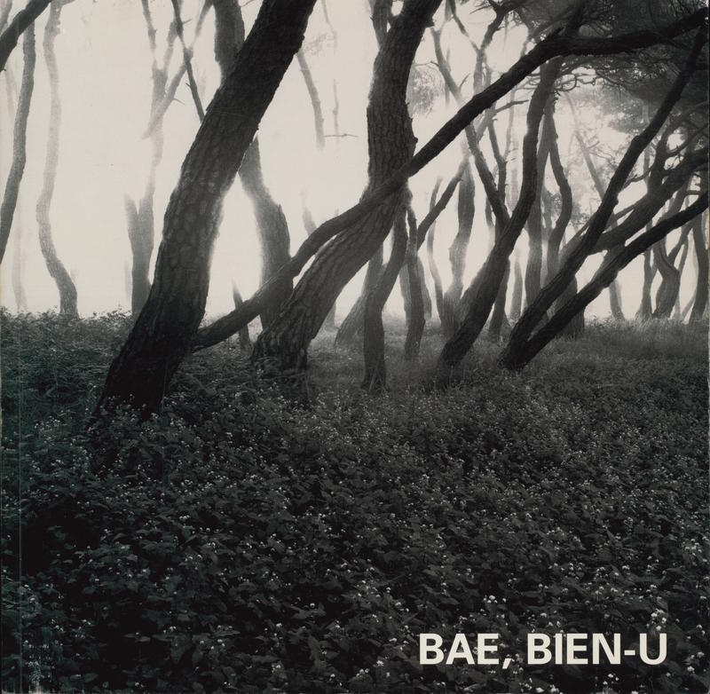 Bae, Bien-U & Elger Esser : the 6th Photo Festival / Gana Art Center cover