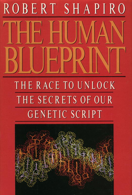 The human blueprint : the race to unlock the secrets of our genetic script / Robert Shapiro cover