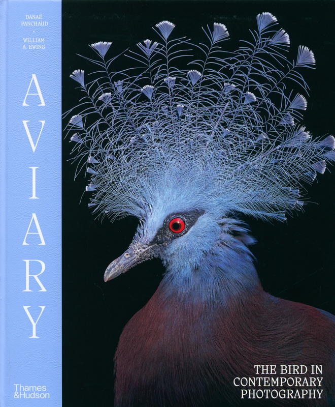 Aviary : the bird in contemporary photography / Danaé Panchaud, William A. Ewing cover