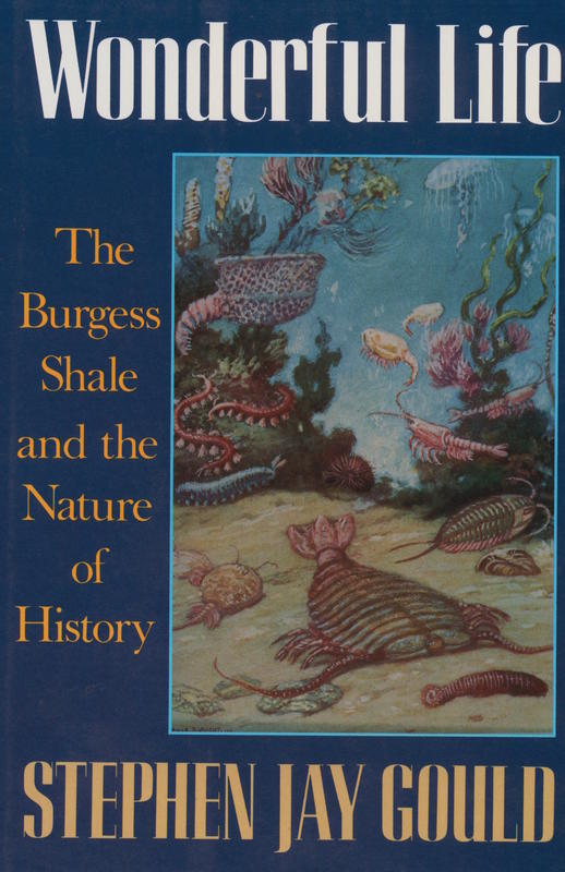 Wonderful life : the Burgess Shale and the nature of history / Stephen Jay Gould cover
