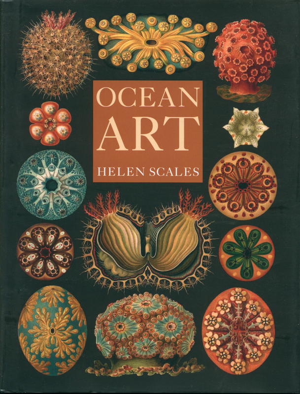 Ocean art : from the shore to the deep / Helen Scales cover