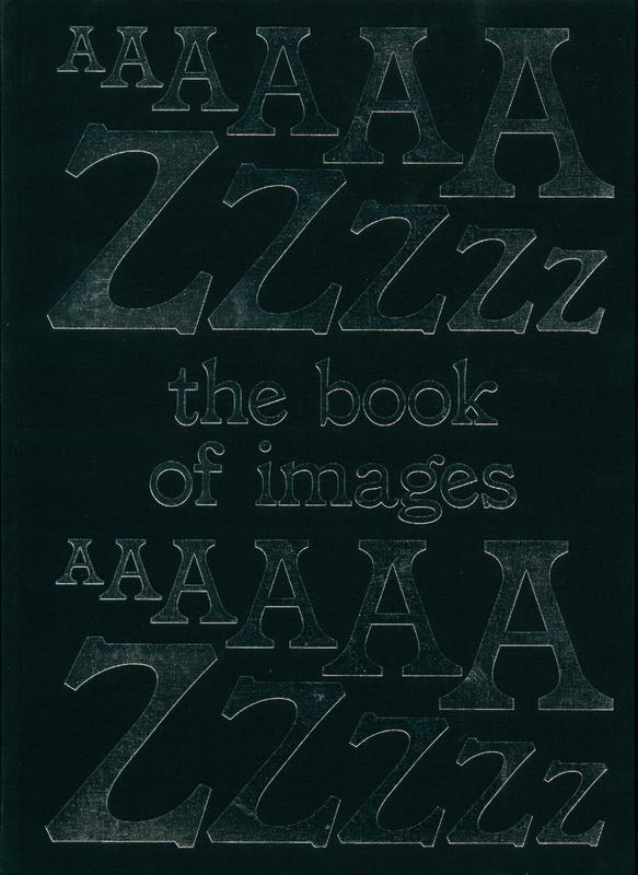 The book of images : an illustrated dictionary of visual experiences / Stefano Stoll cover