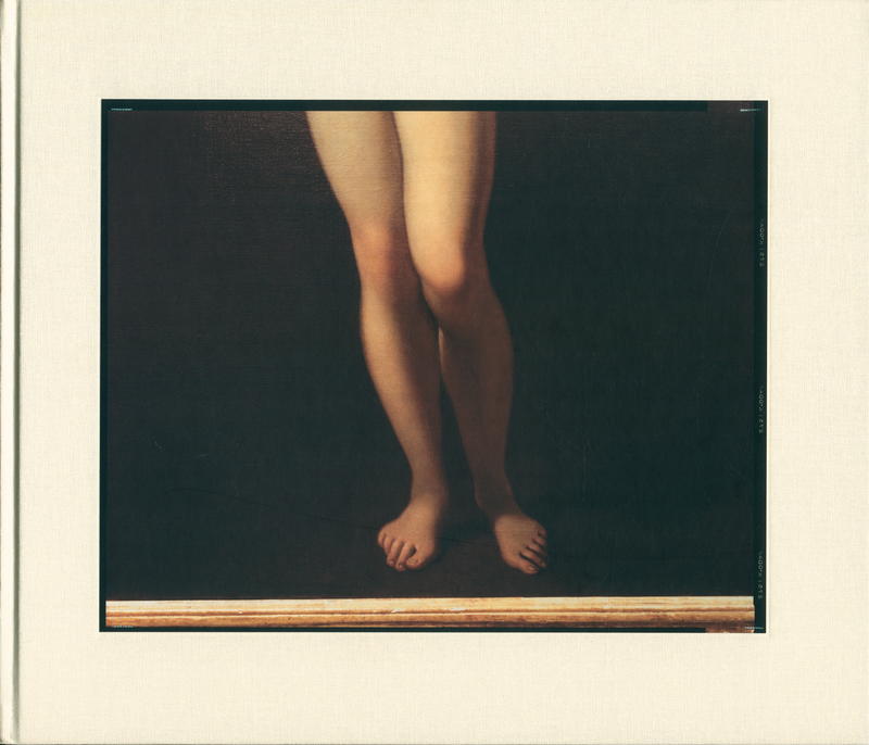 Pictures of paintings / Richard Misrach cover